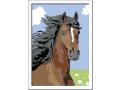 Numéro d'Art petit format lignes colorées - Jeu créatif - Portrait de cheval - Ravensburger - 27849