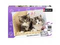 Puzzle 100 pièces - Nathan - Duo de chatons - Nathan puzzles - 86766