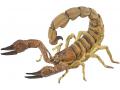 Figurine Papo Scorpion - Papo - 50209