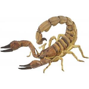 Figurine Scorpion - Papo - 50209