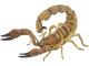 Figurine Papo Scorpion