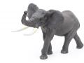 Figurine Éléphant - Papo - 50215