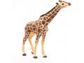 Figurine Girafe tête levée - Papo - 50236