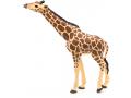 Girafe tête levée - Dim. 15 cm x 3,7 cm x 16 cm - Papo - 50236