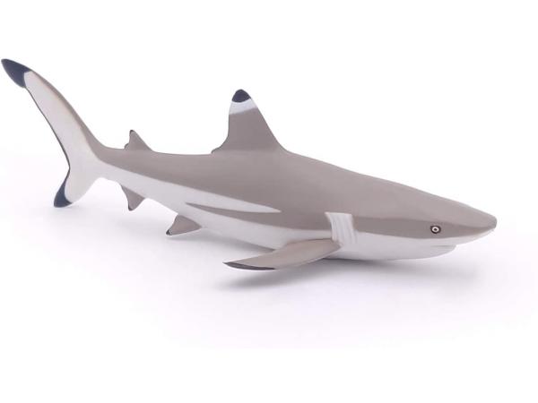 Requin à pointes noires - dim. 14,6 cm x 6,8 cm x 3,6 cm