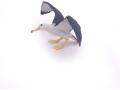 Figurine Papo Albatros - Papo - 56038