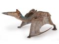 Figurine Dinosaure Papo Quetzalcoatlus - Papo - 55073