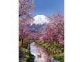 Puzzle 1000 pièces - Fuji Mountain - Clementoni - 39418