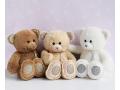 Peluche ours charms - beige - taille 40 cm - boîte cadeau - Histoire d'ours - HO2813