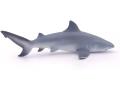 Figurine Papo Requin bouledogue - Papo - 56044