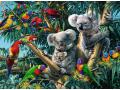 Puzzles adultes - Puzzle 500 pièces - Koalas dans l'arbre - Ravensburger - 14826