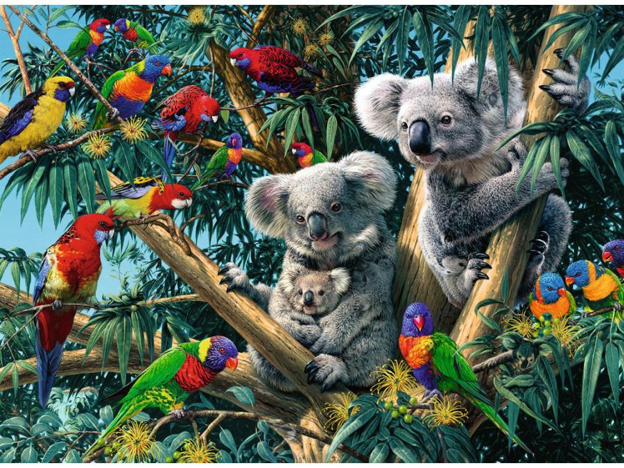 Ravensburger - Puzzles adultes - Puzzle 500 pièces - Koalas dans l