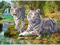 Puzzle 500 pièces - Famille de tigres blancs - Ravensburger - 14793