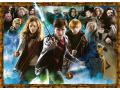 Puzzles adultes - Puzzle 1000 pièces - Harry Potter et les sorciers - Ravensburger - 15171
