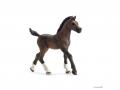 Figurines de chevaux Poulain (arabe, pintabian, Appaloosa) - Schleich - bu017