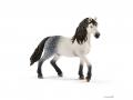 Figurines de chevaux (Étalon pintabian, Étalon andalou, Poulain Knabstrupper) - Schleich - bu019