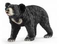 Figurines Animaux sauvages ours (polaire, lippu, Grizzly) - Schleich - bu043