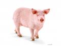 Figurines Animaux de la ferme Cochons et Nourriture cochons - Schleich - bu045