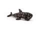 Pebbles Whale Shark