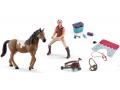 Figurine cheval jument pinto avec kits de nourriture et de soins - Schleich - bu078
