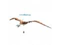 Pteranodon maquette 3D - Sassi - 301290