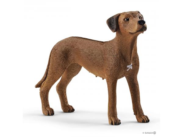 Figurine chien de rhodésie à crête dorsale - dimension : 6,5 cm x 2 cm x 5,1 cm