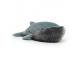 Peluche Wiley Whale - L: 19 cm x l : 50 cm x H: 17 cm