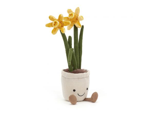 Amuseable daffodil - 30 cm