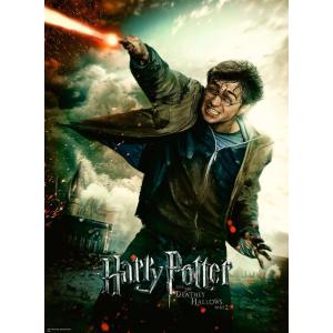 Puzzle 100  pièces - XXL - Le monde fantastique d’Harry Potter - Ravensburger - 12869