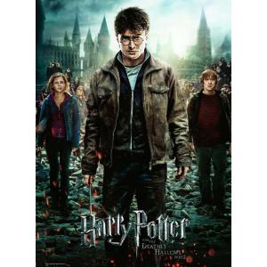 Puzzle 300  pièces - XXL - Harry Potter et les Reliques de la Mort II - Harry Potter - 12871