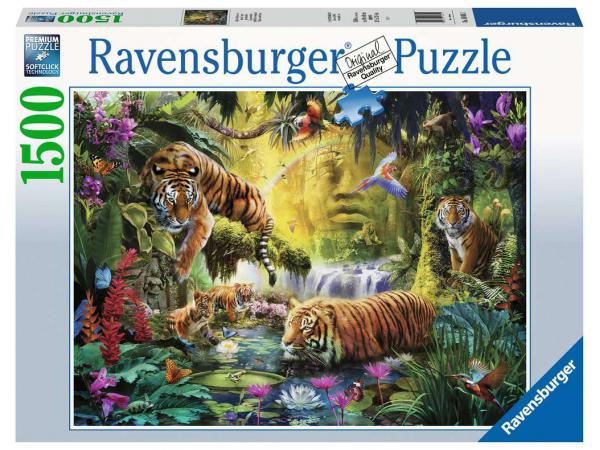 Puzzle 1500 pièces - tigres au plan d'eau