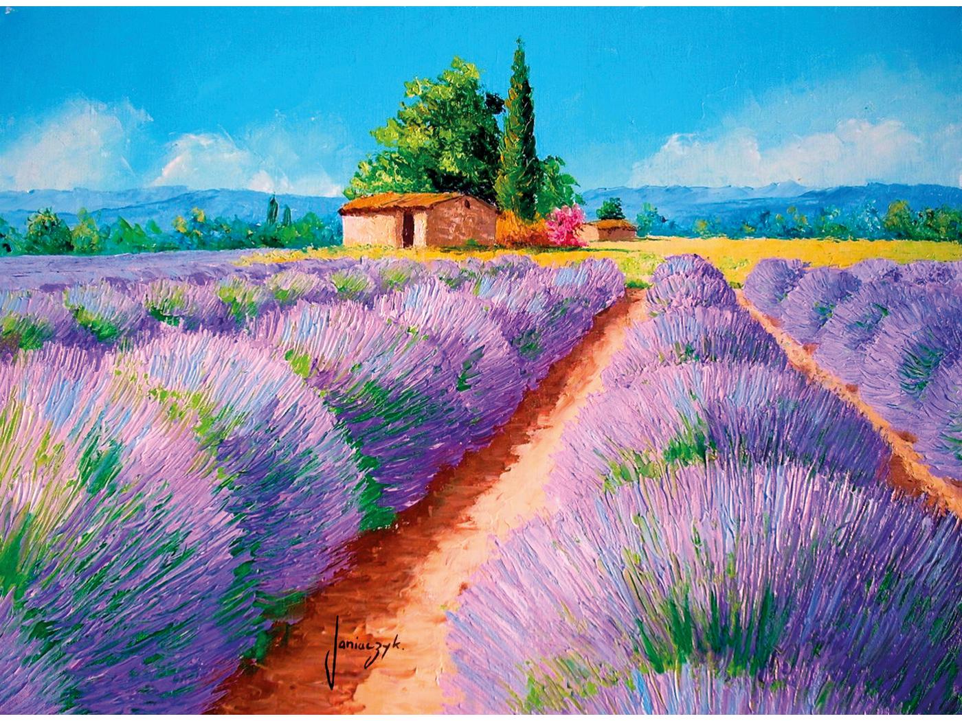 https://www.borntobekids.fr/image/426946/1400x1050/1/clementoni-35073-puzzle-adulte-500-pieces-lavender-scent-1400.jpg