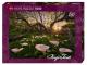 PUZZLE 1000P MAGIC FORESTS CALLA CLEARING HEYE
