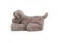 Peluche Huggady Dog Large - l : 19 cm x H: 32 cm - Jellycat - HUG2DL