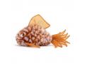 Peluche Grumpy Fish Orange - 14 cm - Jellycat - GRUM2O