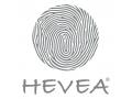 Tétine physiologique canard Moss green 3-36 mois - HEVEA - Hevea - 210821