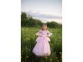 Princesse rose et argent, robe et cape, taille EU 104-116 - 4-7 ans *Edition limitée* - Great Pretenders - 70568