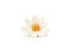 Peluche Fleury Daisy - L = 9 cm x l = 38 cm x H =38 cm