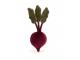 Peluche Vivacious Vegetable Beetroot - l : 8 cm x H: 22 cm