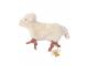 Doudou GOTS Tiny Farmer Mouton