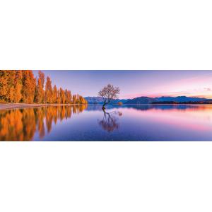 Clementoni - 39608 - Puzzle Panorama 1000 pièces - Lake Wanaka Tree (460066)