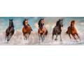 Puzzle adulte, Panorama 1000 pièces - Horses - Clementoni - 39607