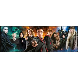 Puzzle adulte, Harry Potter - Panorama 1000 pièces - Harry Potter - 61883