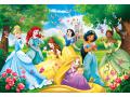 Puzzle enfant, 60 pièces Maxi - Princess - Clementoni - 26471