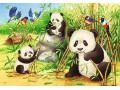 Puzzles enfants - Puzzles 2x24 pièces - Mignons koalas et pandas - Ravensburger - 07820