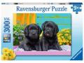 Puzzles enfants - Puzzle 300 pièces XXL - Labradors noirs - Ravensburger - 12950
