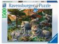 Puzzles adultes - Puzzle 1500 pièces - Loups au printemps - Ravensburger - 16598