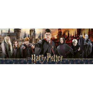 Puzzle N 1000  pièces -  La guerre des sorciers / Harry Potter - Harry Potter - 87642