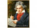 Peinture aux numéros - Ludwig van Beethoven 40x50cm - Schipper - 609130834