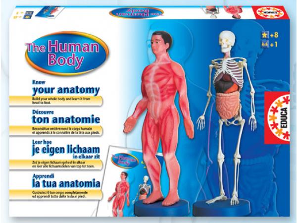 Educa - Corps humain - anatomie 